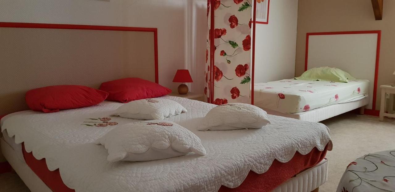 Les Brulis Chambre D'Hotes Chatillon-sur-Loire Bagian luar foto